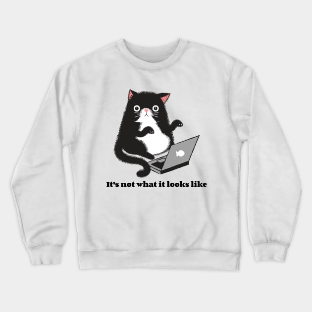 It's not what it looks like funny cat Crewneck Sweatshirt by obsession tees